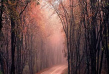 亿万28：U19球员进球助攻均上双，杜埃是本赛季五大联赛球员第二人.