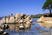 消息传来：奥运冠军张常宁将复出！沈阳晚报.